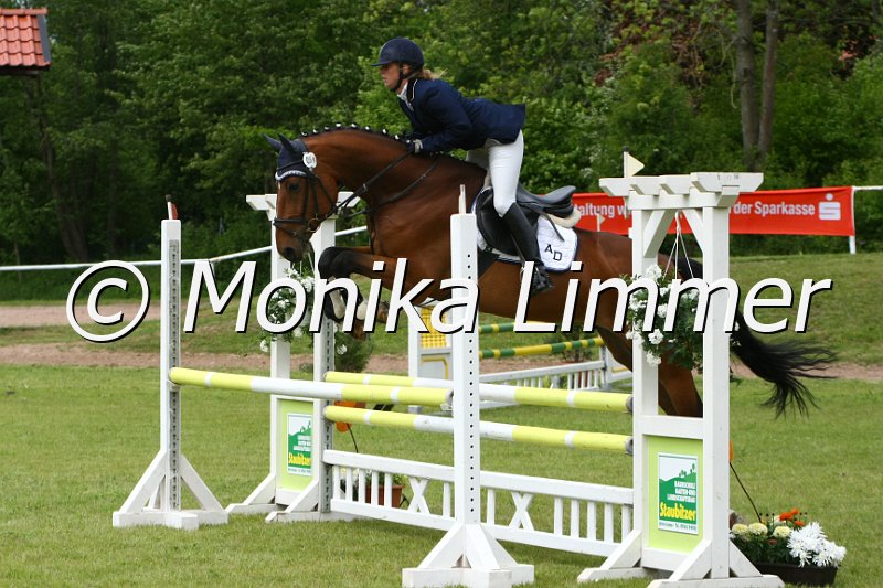 204M0564_Chacco De Semilly_Spr_Pferde_A.JPG